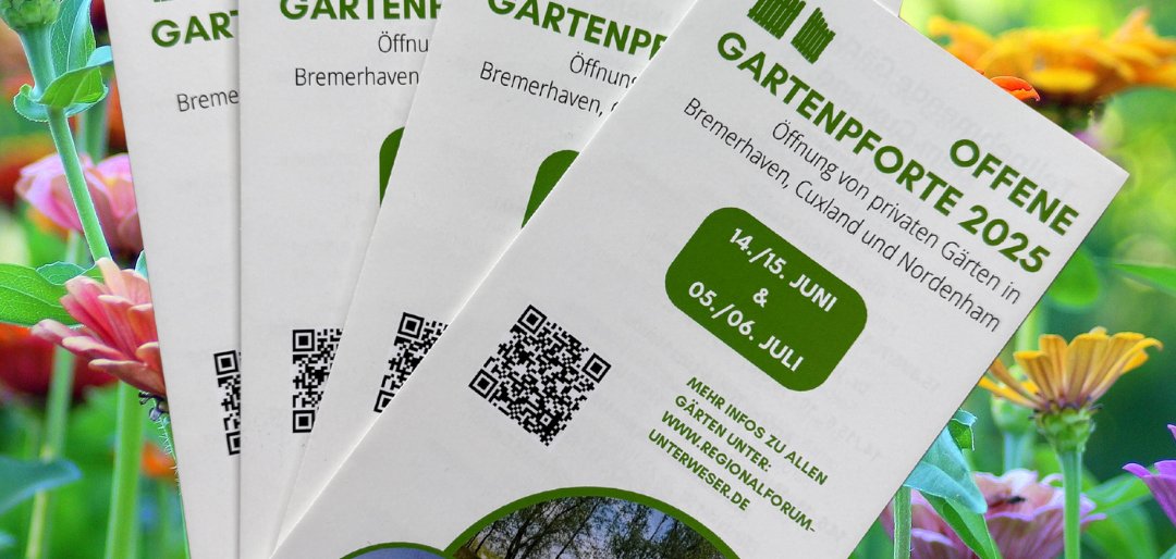 Die Flyer liegen unter anderem im Schiffdorfer Rathaus aus.