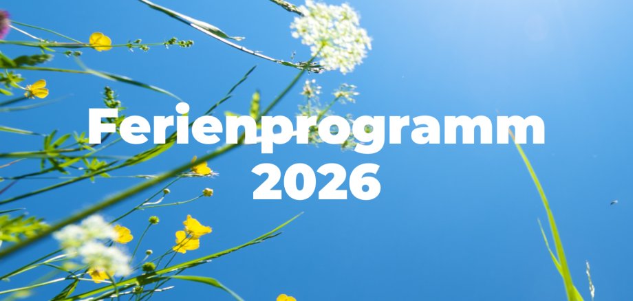 Ferienprogramm 2026 Ferienprogramm 2026