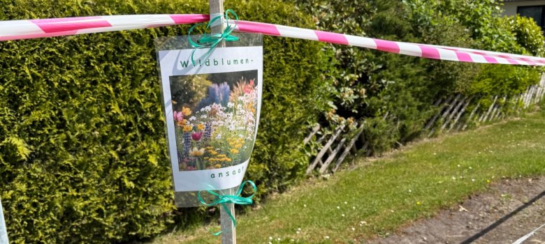 An den Wegeseitenrändern wurde von Anwohnern eine Blühmischung der Gemeinde ausgebracht, um diese ökologisch aufzuwerten. An den Wegeseitenrändern wurde von Anwohnern eine Blühmischung der Gemeinde ausgebracht, um diese ökologisch aufzuwerten. Foto