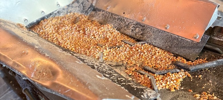 Letztes Kleinod: Stück Reibholz