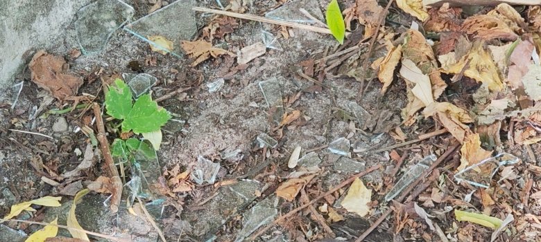 Vandalismus Rotdornweg Spaden Vandalismus Rotdornweg Spaden