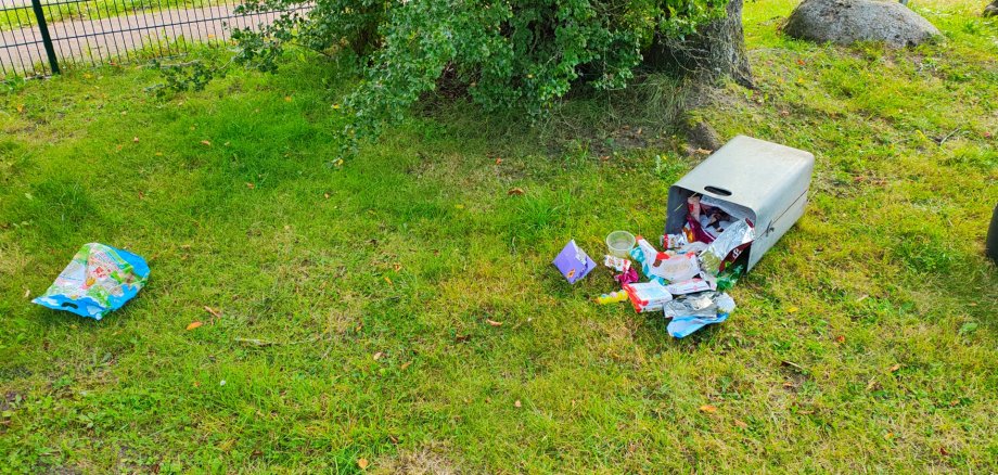 Vandalismus Rotdornweg Spaden