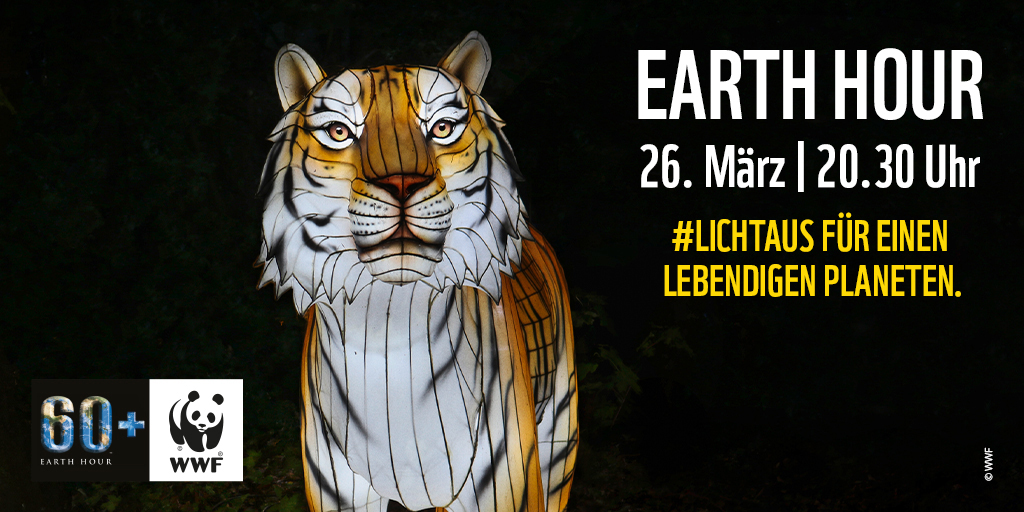 Beleuchteter Glastiger im Dunkeln