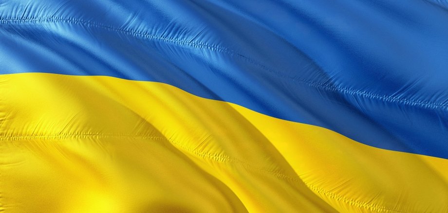 Ukrainische Flagge