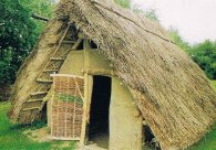 Archäologische Funde in Schiffdorf Archäologische Funde in Schiffdorf